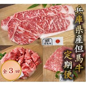 yցzɌYAnS3yzsnFzy4009474z