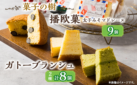 播欧菓〜太子みそマドレーヌ〜とガトーブランジュ詰め合わせ[配送不可地域:離島]