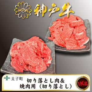 訳あり神戸牛 TSSY2S 切り落とし・焼肉(不揃い) 500gずつセット[配送不可地域:離島]