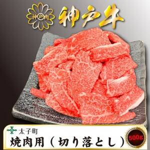 訳あり神戸牛 TSY1 焼肉用(切り落とし) 500g[配送不可地域:離島]