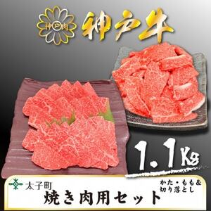 神戸牛 TSY3 焼肉用・焼肉用(切り落とし)セット 合計1100g[配送不可地域:離島]