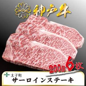 _ˋ@TSST10@[XXe[L@200g×6@v1200gyzsnFzy1509936z