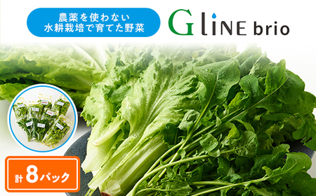G Line brio ^X8pbNZbgyzsnFzy1121142z
