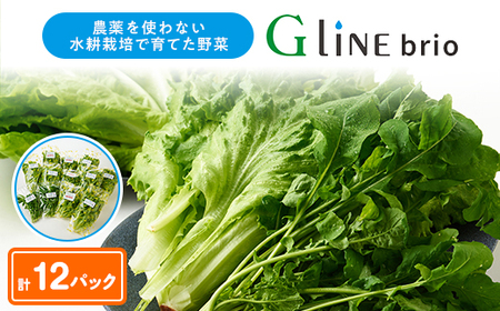 G Line brio ^X12pbNZbgyzsnFzy1121143z