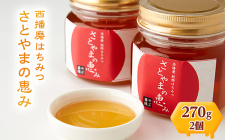 西播磨はちみつ さとやまの恵み 270g×2本セット