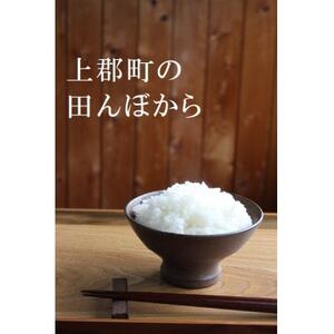 新米[令和6年産]コシヒカリ 精米10kg(5kg×2袋)