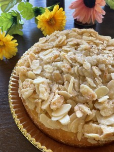 ub^@N[w | َq َq  mَq P[L َqp hCc  Ɍ S