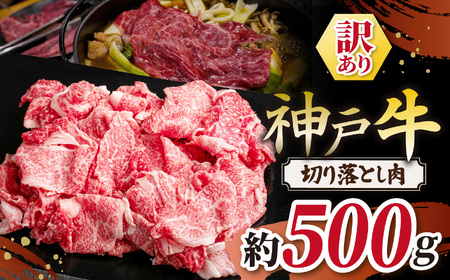 KGS1 _ˋ 󂠂 ؂藎Ƃ 500g | 󂠂 ؂藎Ƃ  ɂ   _ˋ Ɍ S