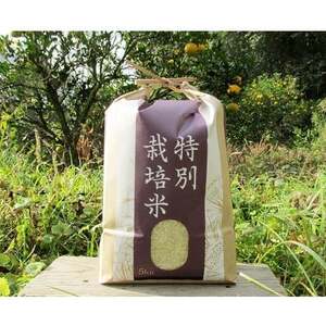 [令和7年産]『タガメの里・自然米』にこまる 白米5kg[有機JAS認証米] | お米 おこめ 米 コメ こめ にこまる 白米 精米 有機JAS認証米 兵庫県 上郡町