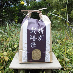[令和7年産]『タガメの里・自然米』ぴかまる 玄米5kg [有機JAS認証米] | お米 こめ 米 コメ こめ ぴかまる 玄米 有機JAS認証米 兵庫県 上郡町
