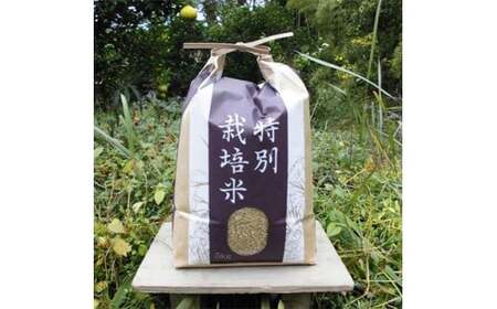 [令和7年産]『タガメの里・自然米』にこまる 玄米5kg [有機JAS認証米] | お米 おこめ 米 コメ こめ にこまる 玄米 有機JAS認証米 兵庫県 上郡町