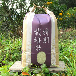 �y�L�@JAS�F�ؕāz�w�^�K���̗��E���R�āx2025�N�Y �����āu�͂�܂����v����10kg | ���� ������ �� �R�� ���� �͂�܂��� ���� �L�@JAS�F�ؕ� ���Ɍ� ��S��