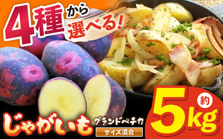 兵庫安心ブランド・グランドペチカS〜L混合サイズ約5kg 栽培期間中農薬・化成肥料不使用 | グランドペチカ デストロイヤー じゃがいも 無農薬 無化学肥料 自然栽培 国産 自然の恵み こだわり栽培 兵庫県 上郡町