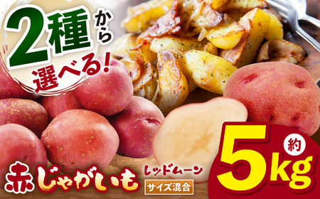 兵庫安心ブランド・レッドムーンS〜L混合サイズ約5kg 栽培期間中農薬・化成肥料不使用 | レッドムーン じゃがいも 無農薬 無化学肥料 自然栽培 国産 自然の恵み こだわり栽培 兵庫県 上郡町