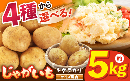 兵庫安心ブランド・キタアカリS〜L混合サイズ約5kg 栽培期間中農薬・化成肥料不使用 | じゃがいも 野菜 国産 こだわり栽培 兵庫県 上郡町