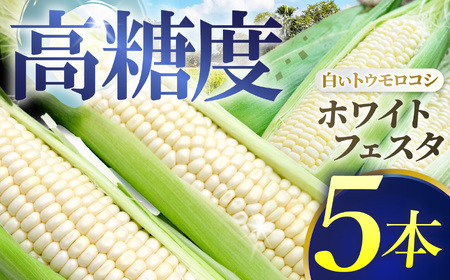 兵庫安心ブランド・トウモロコシ(ホワイトフェスタ) 5本 栽培期間中農薬・化成肥料不使用 | とうもろこし 野菜 おいしい ヘルシー 兵庫県 上郡町