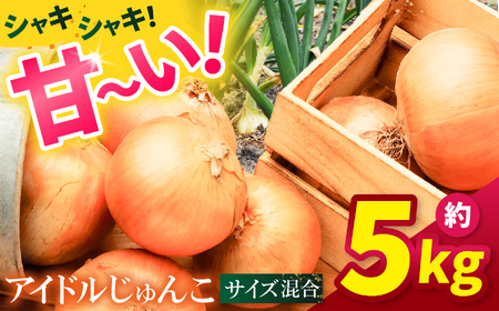 兵庫安心ブランド・玉ねぎ(アイドルじゅんこ)約5kg 栽培期間中農薬・化成肥料不使用 | 玉ねぎ 野菜 国産 兵庫県 上郡町