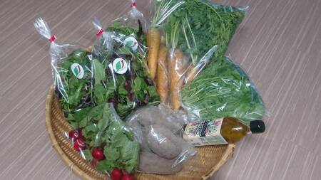 こだわり野菜の詰め合わせセット(お野菜に合うドレッシング付き)| 野菜 ドレッシング 兵庫県 上郡町
