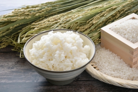 上郡町産高田米ヒノヒカリ白米10kg | 白米 米 ヒノヒカリ 兵庫県 上郡町