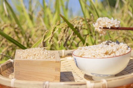 清流千種川で育ったヒノヒカリ玄米10kg | お米 ヒノヒカリ 玄米 兵庫県 上郡町