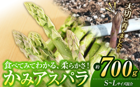 かみアスパラ S〜L混合約700g | アスパラガス 野菜 おいしい グルメ ヘルシー 兵庫県 上郡町