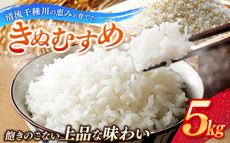 令和7年産 上郡町からのお米 きぬむすめ5kg | お米 きぬむすめ 美味しい 国産 兵庫県 上郡町