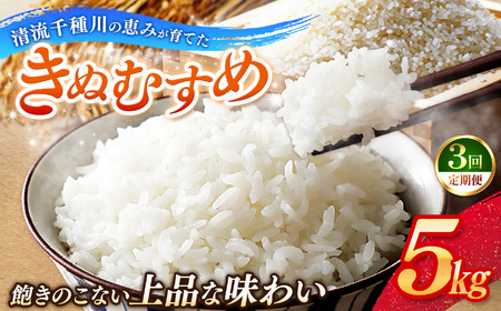 [定期便3回]令和7年産 上郡町からのお米 きぬむすめ5kg×3回 | お米 きぬむすめ 美味しい 国産 兵庫県 上郡町