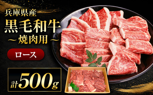 [牧場直売店]兵庫県産黒毛和牛 焼肉用ロース 500g | 黒毛和牛 牛肉 ロース グルメ 兵庫県 上郡町