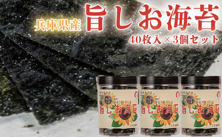 兵庫県産旨しお海苔 40枚入×3個セット