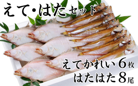 [干物 えてかれい、はたはたセット エテカレイ6枚 ハタハタ8尾 干物の本場 香住産 冷凍]いずれも脂のりの良い旬時期ものだけを厳選して一夜干ししました。伝統「まぶり塩」ふるさと納税 大人気 香美町 柴山 山陰 蔵平水産 13000円 08-01