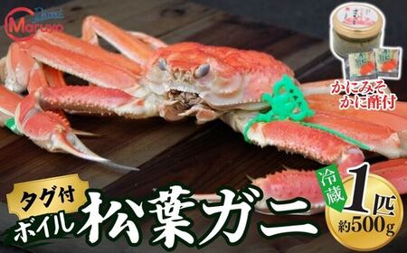 [ボイル松葉ガニ 1匹(約500g)かにの身入りかにみそ 三杯酢付 冷蔵]ご入金確認後、1ヶ月程度で配送予定 配送前に事前連絡いたします 香住･山陰沖で水揚げされた新鮮な松葉ガニを熟練の職人が茹で上げ カニ本場 香住 新鮮 国産 鍋 かすき 脚 足 爪 身 肩 兵庫県 香美町 柴山 ズワイガニ マルヨ食品 マルヨダイレクト 17-3