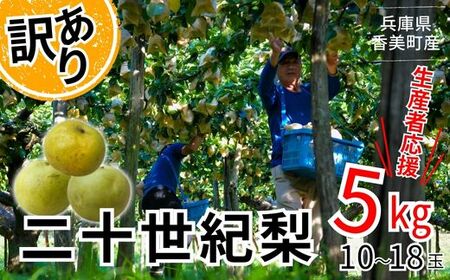 先行予約[梨 訳あり 20世紀梨 5kg(10〜18玉)]生産者応援商品! 9月上旬以降発送予定 数量限定 台風で落下したやカメムシ被害を受けたも含む ご家庭用 ジャムなど加工用 傷あり 不揃い 二十世紀梨 兵庫県 香美町 香住 フルーツ ナシ 青梨 和梨 JAたじま 10000円 12-23