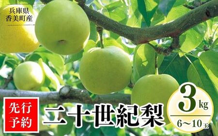 [先行予約][梨 20世紀梨 香住 3kg 秀品(Aランク)L〜5Lサイズ混合6〜10玉]大人気 ふるさと納税 おすすめ 返礼品 ランキング 二十世紀梨 シャキシャキの食感 ほどよい甘さとみずみずしさ 日本海に面するの本場 香美町で育つ香住 一つひとつ糖度を計測 兵庫県 香美町 フルーツ ナシ 贈答 ギフト 青梨 和梨 国産 たじまんま JAたじま 12000円 76-02