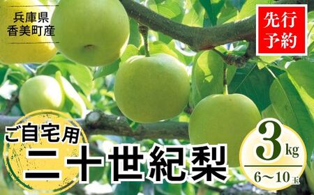 [先行予約][梨 20世紀梨 香住 3kg ご自宅用 優品(Bランク)L〜5Lサイズ混合6〜10玉]大人気 ふるさと納税 おすすめ 返礼品 ランキング 二十世紀梨 シャキシャキの食感 ほどよい甘さとみずみずしさ 日本海に面するの本場 香美町で育つ香住 一つひとつ糖度を計測 兵庫県 フルーツ ナシ 贈答品 ギフト 青梨 和梨 国産 たじまんま JAたじま 10000円 76-03