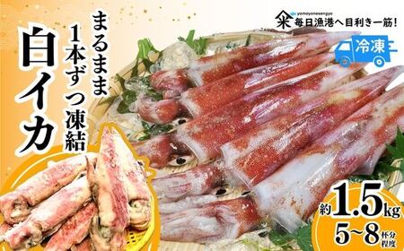 [先行予約][白イカ約1.5kg(5-8杯程度入)(冷凍)]令和7年7月中旬以降順次発送予定 下処理済み 産地直送 鮮度抜群 大人気 ふるさと納税 香美町 香住 送料無料 イカ 白いか 山米鮮魚 26000円 74-06