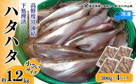 [小さいサイズのハタハタ 計1.2kg(300g×4パック)下処理済み(冷凍)]入金確認後、順次発送 産地直送 鮮度抜群 はたはた ハタハタ 大人気 ふるさと納税 兵庫県 香美町 香住 山米鮮魚 22000円 74-07