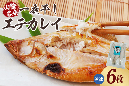 [山陰名産エテカレイ一夜干し 6枚(冷凍)]入金確認後、順次発送 産地直送 鮮度抜群 エテカレイ 干物 下処理不要 大人気 ふるさと納税 兵庫県 香美町 香住 山米鮮魚 13000円 74-11