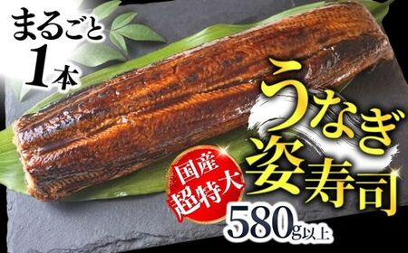 [うなぎの棒寿司 1本 580g以上 冷凍]入金確認後、1〜2ヶ月程度で発送いたします。 国産 うなぎ 鰻 ウナギ 特大サイズ(焼き後330g以上)フリーカット 棒寿司 蒲焼き かばやき タレ 山椒 お土産 ランキング 大人気 ふるさと納税 返礼品 兵庫県 香美町 19000円 寿し工房 彌衛門 77-01