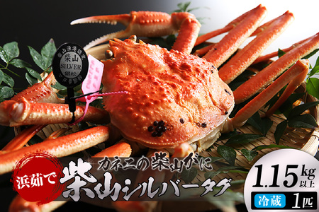 [先行予約][カネニの浜茹で柴山がに 柴山シルバータグ付き ボイル後1.15kg以上] 令和7年11月以降、水揚げ次第順次発送予定 冷蔵 高級 かにすき 焼きガニ カニ ボイル 兵庫県 香美町 香住 柴山 カネニ 06-23