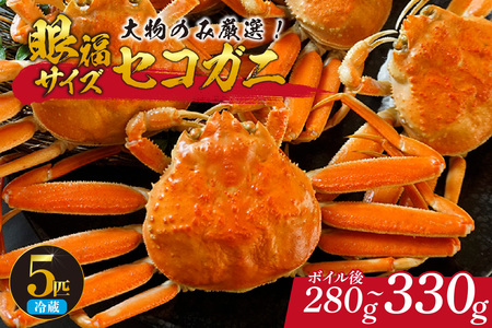 [先行予約][1匹280g〜330gの大物のみ厳選! 眼福サイズ セコガニ5匹セット 冷蔵] 令和7年11月中旬以降、水揚げ次第順次発送予定 濃厚なカニ味噌 やみつきになる内子 外子 絶品 浜茹で 産地直送 鮮度抜群 送料無料 香住 柴山 国産 カニ 松葉ガニ せいこがに メスガニ 親ガニ ふるさと納税 返礼品 おすすめ 兵庫県 香美町 カネニ 06-25