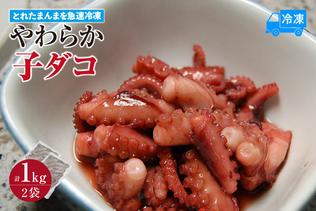 [とれたまんまを急速冷凍 やわらか子ダコ 500g×2袋 1kg 冷凍]ご入金確認後、順次発送予定 国産 小だこ 生 真空パック 産地直送 鮮度抜群 タコ たこ 海鮮 ふるさと納税 おすすめ 返礼品 兵庫県 香美町 香住 山米鮮魚 11000円 74-28