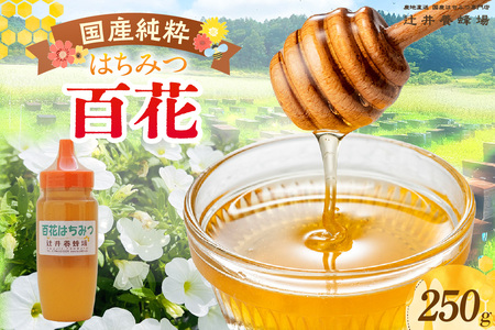 [国産純粋 百花はちみつ 250g ポリ容器]国産 純粋 百花 はちみつ ハチミツ 蜂蜜 紅茶 パン ヨーグルト おすすめ 兵庫県 香美町 辻井養蜂場 81-02