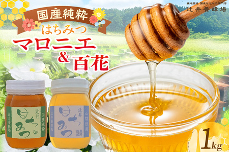 [国産純粋 マロニエはちみつ 百花はちみつ 各500g 計1kg 瓶]国産 純粋 マロニエ 百花 はちみつ ハチミツ 蜂蜜 栃の木 紅茶 パン ヨーグルト おすすめ 兵庫県 香美町 辻井養蜂場 81-06