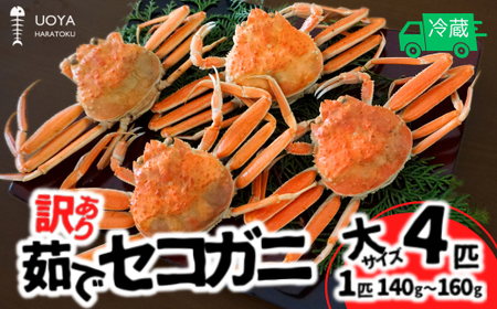 yʌzy󂠂 䥂 ZRKj TCYi140`160gj4C wi1`2{j①z11{ȍ~ Jj̖{ Z ZȂɃ~\ ݂ɂȂq Oqił lC 