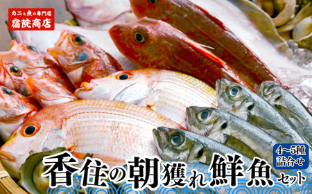 【香住の朝獲れ地魚セット 3-10月限定 新鮮 鮮魚 4～5種類詰め合わせ（1.5kg～2kg程度）香住産 冷蔵】※漁の状況により発送までに１ヶ月半程度かかる場合があります。入金確認後、ご連絡の上、発送いたします。配送日指定不可。季節感のある旬の鮮魚をお届けします。ご希望により内蔵処理も承ります。大人気 ふるさと納税 お刺身 煮魚 焼魚 フライ 兵庫県 香美町 香住 柴山 宿院商店 33-11