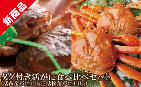 [数量限定 タグ付き活がに食べ比べセット(活黄金がに1.1kg･活松葉ガニ1.1kg][先行予約]R6年11月中旬以降発送 幻のカニ タグ付き黄金がに 冬の味覚の女王 タグ付き松葉がに 特大サイズ 活ガニ 香住からお届け かにすき お鍋 焼きガニ 香住港 柴山港 兵庫県 香美町 香住 日本海フーズ にしとも かに市場 07-63