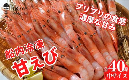 [船内冷凍 甘えび(あかえび)中サイズ40匹入り ] 700g前後 冷凍 兵庫県香住産 日本海で水揚げされた鮮度抜群の甘を船内で急速しました。短時間急速冷凍 細胞を壊さず、食品の美味しさキープ 産地直送 香美町 香住 山陰 国産 刺身 海鮮 魚や HARATOKU 14000円 56-02