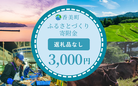 [返礼品なし]兵庫県香美町 ふるさとづくり寄附金(3,000円分)3000 3000円 三千円 以下25-35