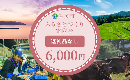 [返礼品なし]兵庫県香美町 ふるさとづくり寄附金(6,000円分)6000 6000円 六千円 以下 25-38