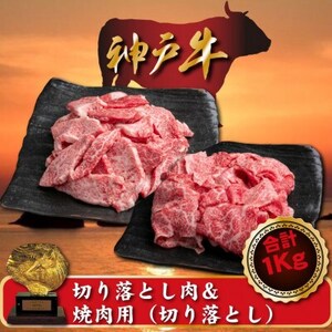 訳あり 神戸牛 切り落とし肉&焼肉(切り落とし) 500gずつ 計1000g SOSY2[配送不可地域:離島]